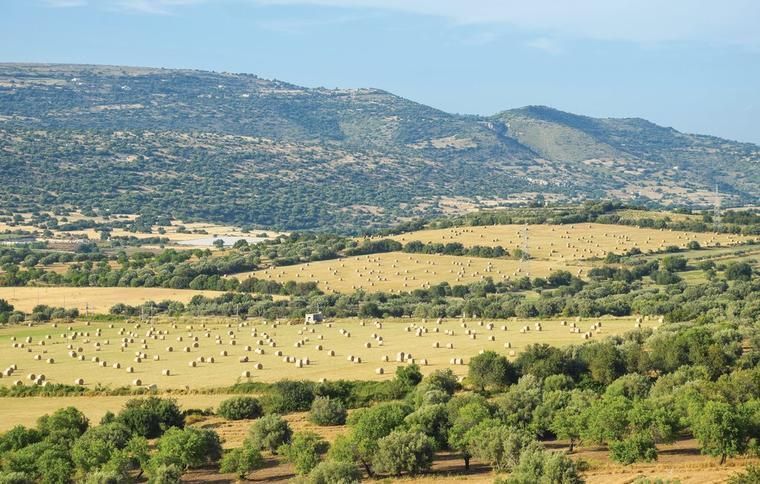 Ragusa na wakacje