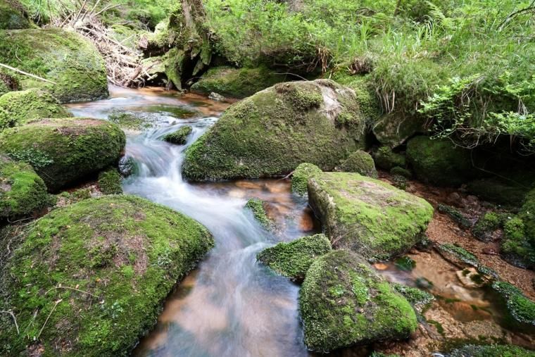 Góry Harz - Dolna Saksonia